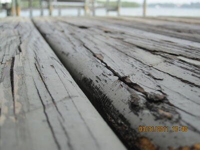 marine construction timber decking