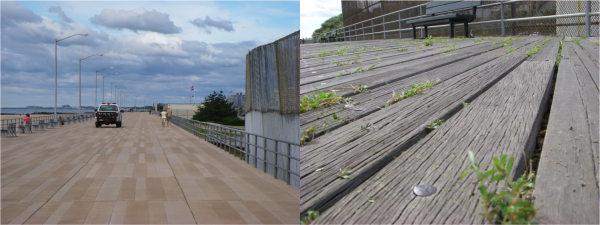 concrete boardwalk and timber boardwalk at rockaway beach