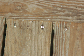 timber boardwalk screws close up resized 600 timber boardwalk screws close up resized 600