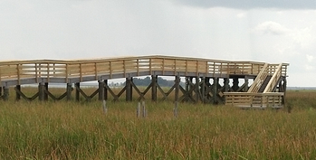 wetland boardwalk observation deck