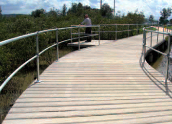 Eco-friendly_boardwalk_protects_mangroves