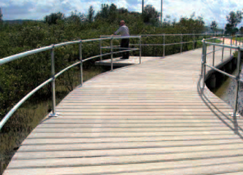 Eco-friendly_boardwalk_protects_mangroves Eco-friendly_boardwalk_protects_mangroves