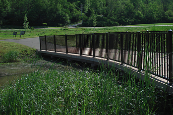 wetland boardwalk