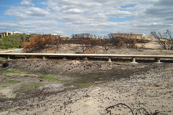 PermaTrak Concrete Boardwalk after bushfire Comet Bay resized 600