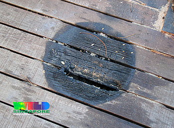 timber boardwalk fire burn marks resized 600