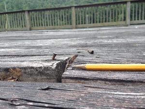 maintenance_wood_boardwalk_nail