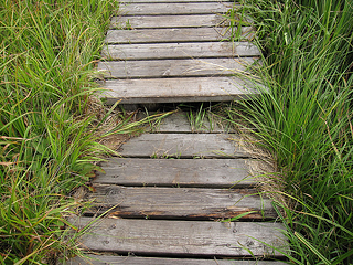 narrow timber boardwalk resized 600