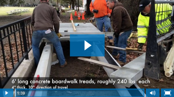 boardwalk install over tree roots