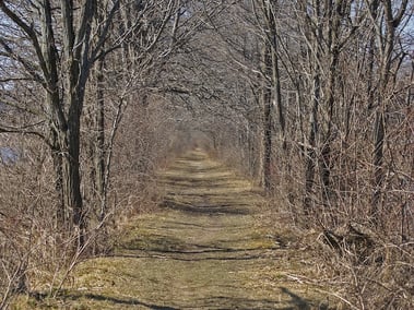 erie-canal-towpath.jpg