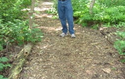 bark mulch path