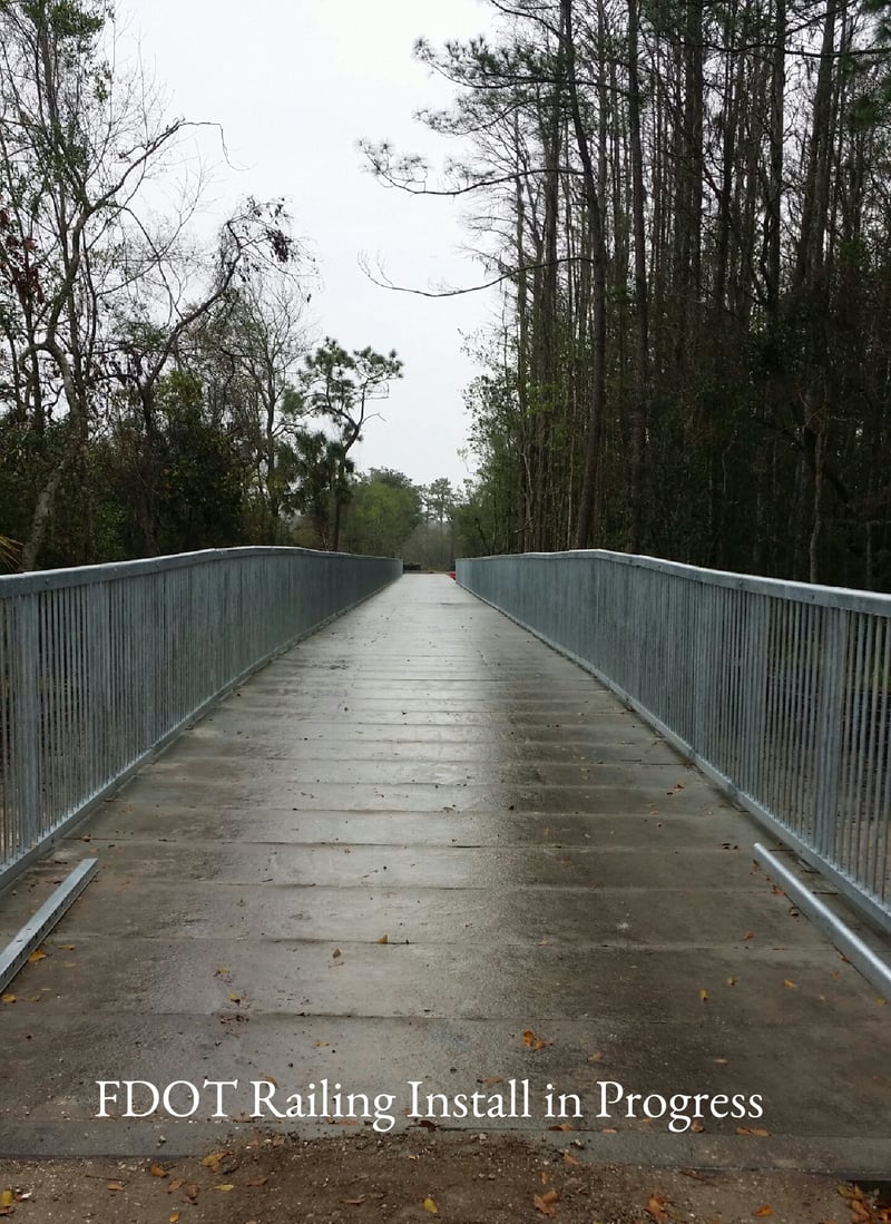 upper tampa bay trail boardwalk