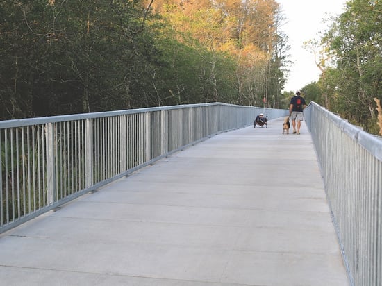 Upper Tampa Bay Trail