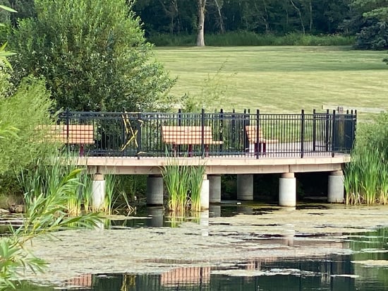 Lacombe Lake Park Viewing Deck