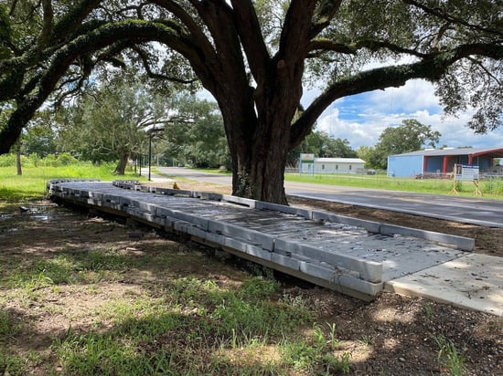 Main Street Tree Root Crossing