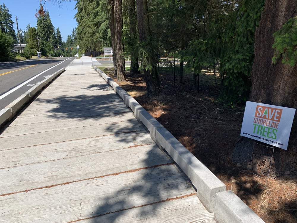 WSDOT Dayton Ave - Shoreline, WA Tree Root Crossing