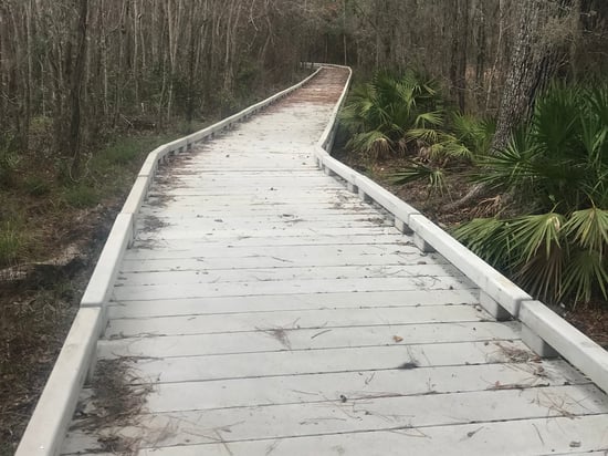 Barr Hammock Preserve