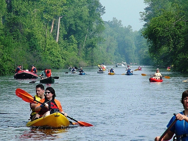 Dismal_Swamp_Canal_Trail_North_Carolina