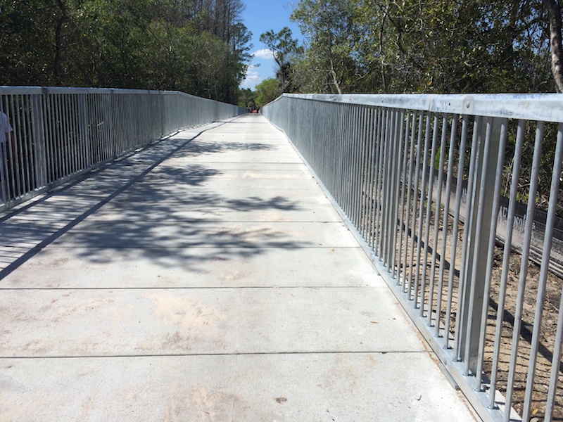 Upper_Tampa_Bay_Trail_boardwalk Upper_Tampa_Bay_Trail_boardwalk