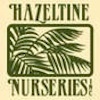 Hazeltine_Nursery