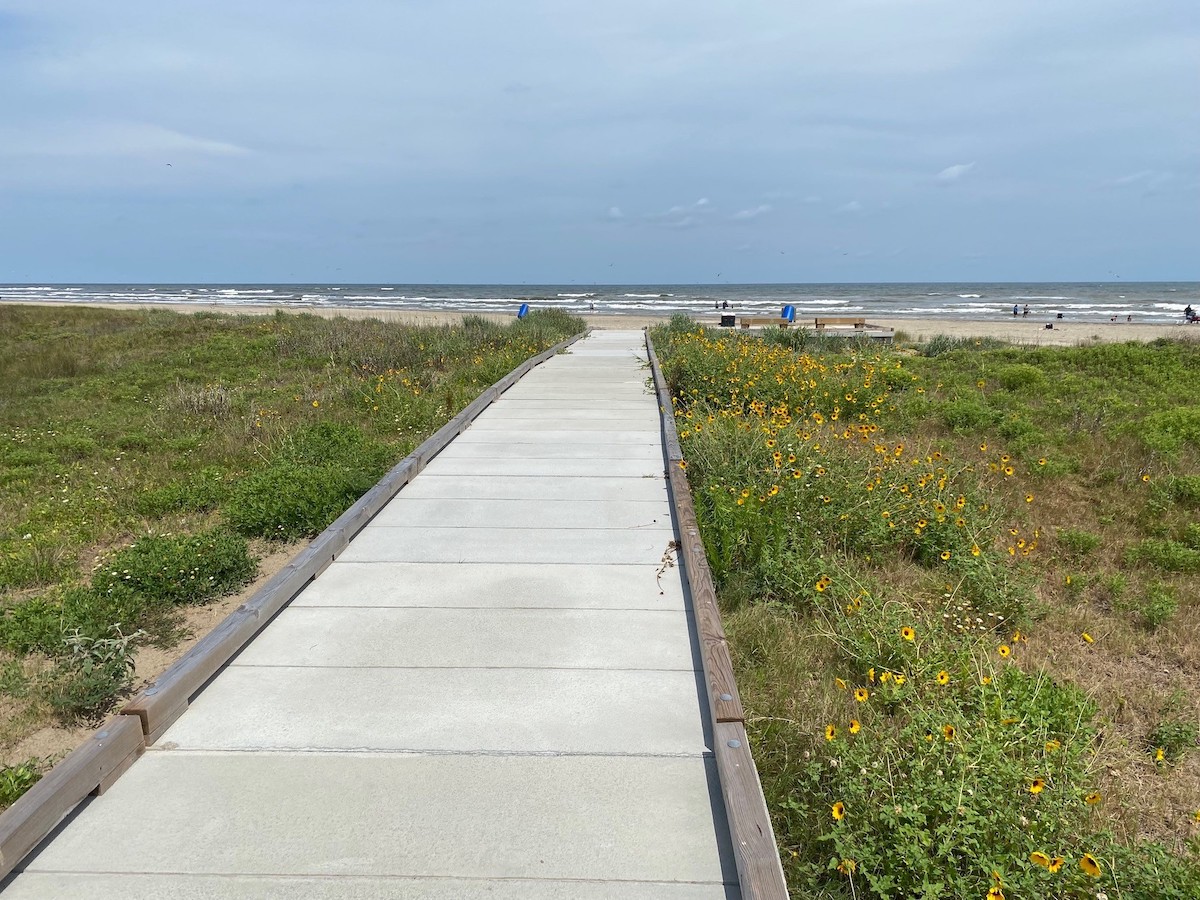 galveston island state park dune crossing