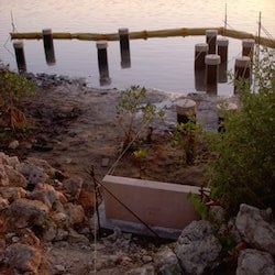 Timber Piles in water