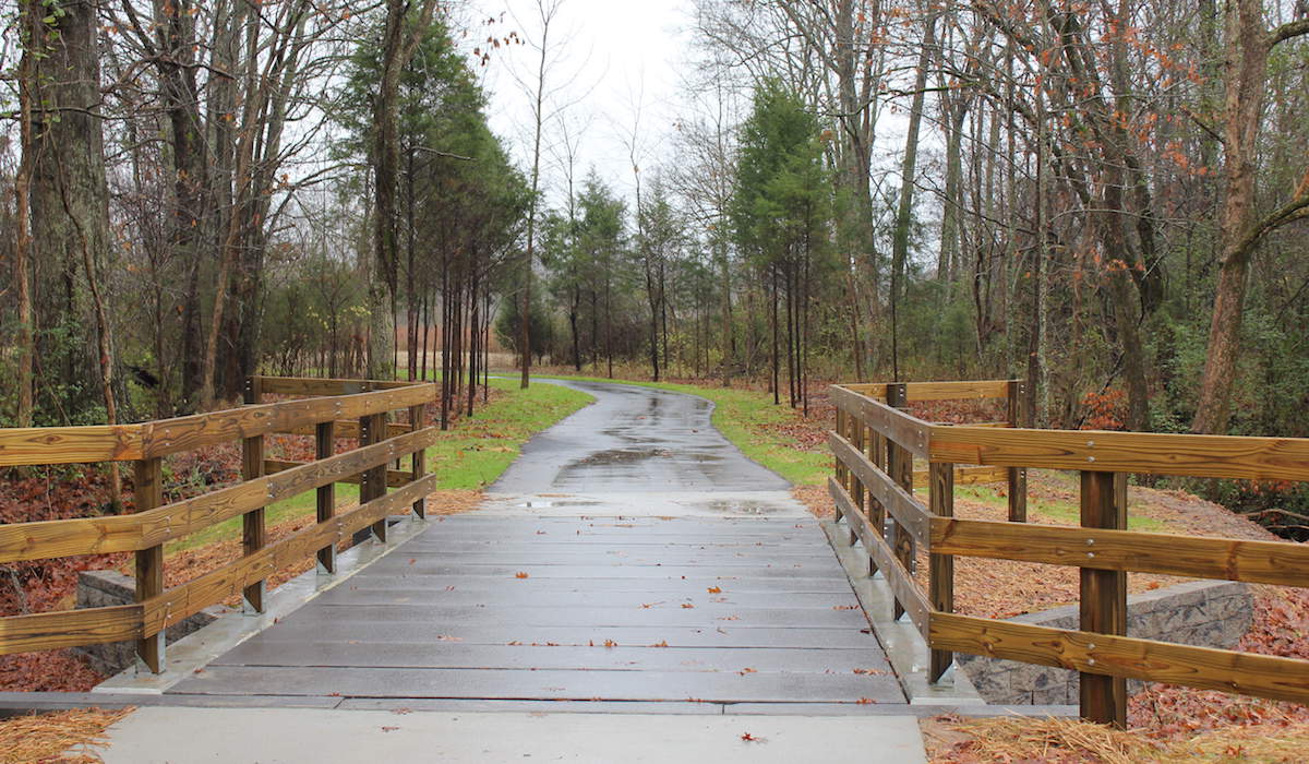 Hurricane-Creek-Pedestrian-Bridge-3.jpg