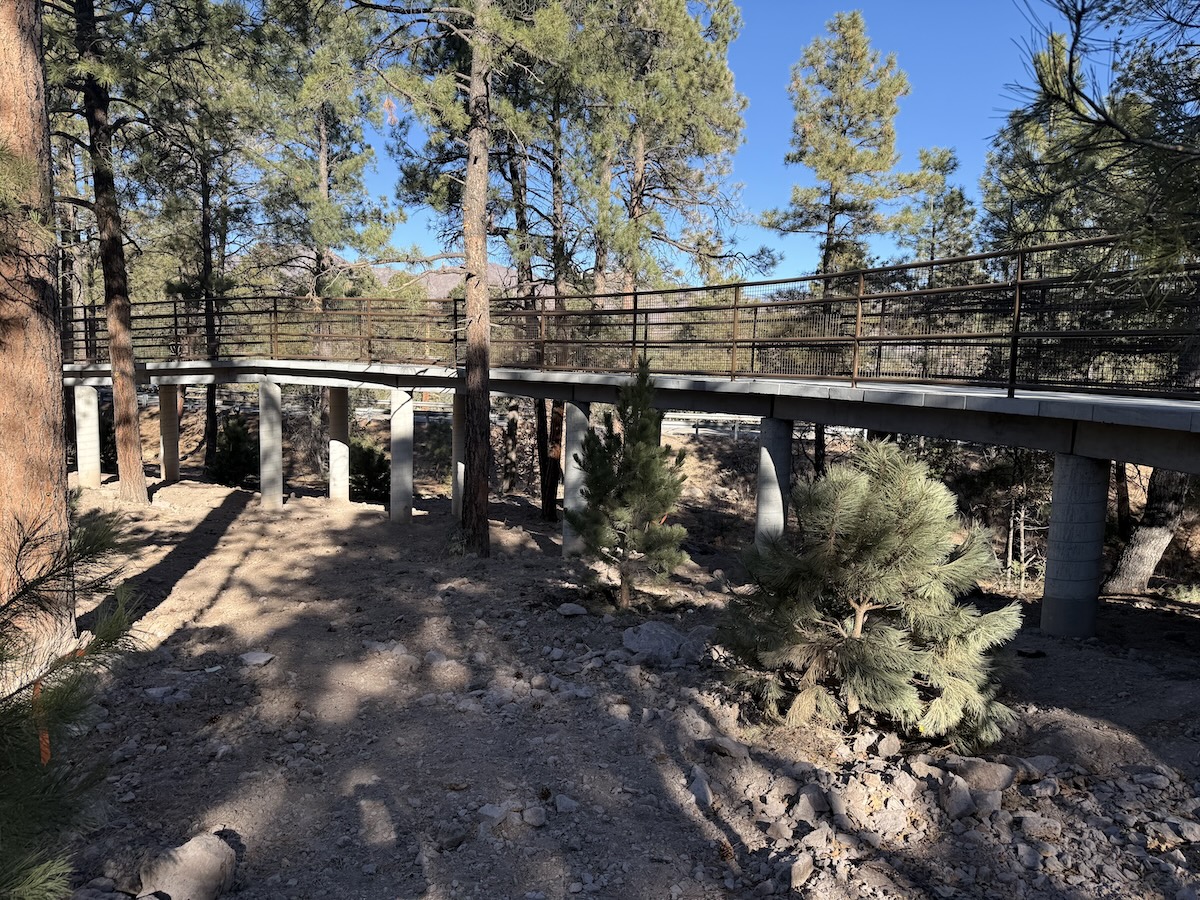 Los-Alamos-4