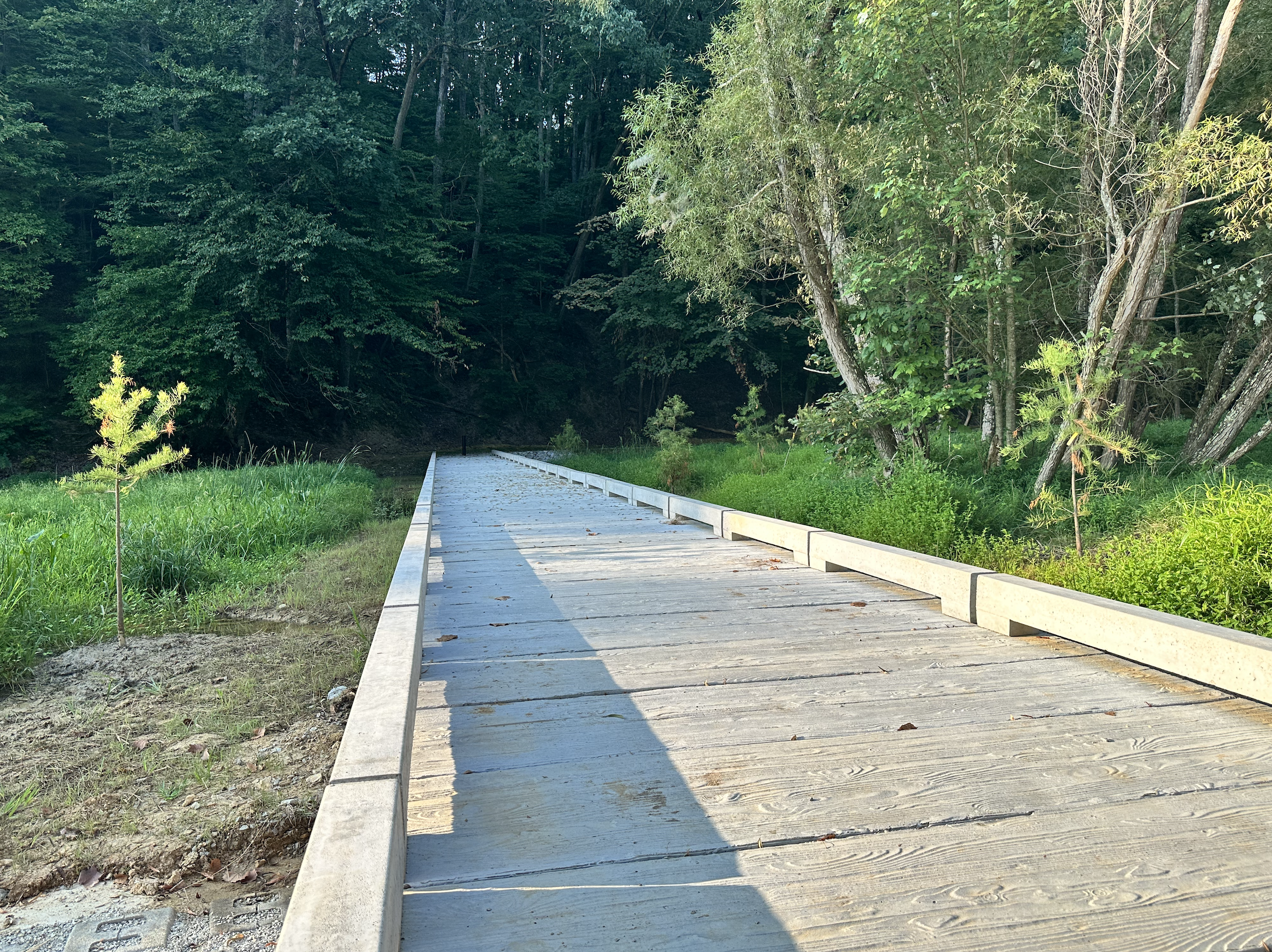 Jefferson_Memorial_Forest1