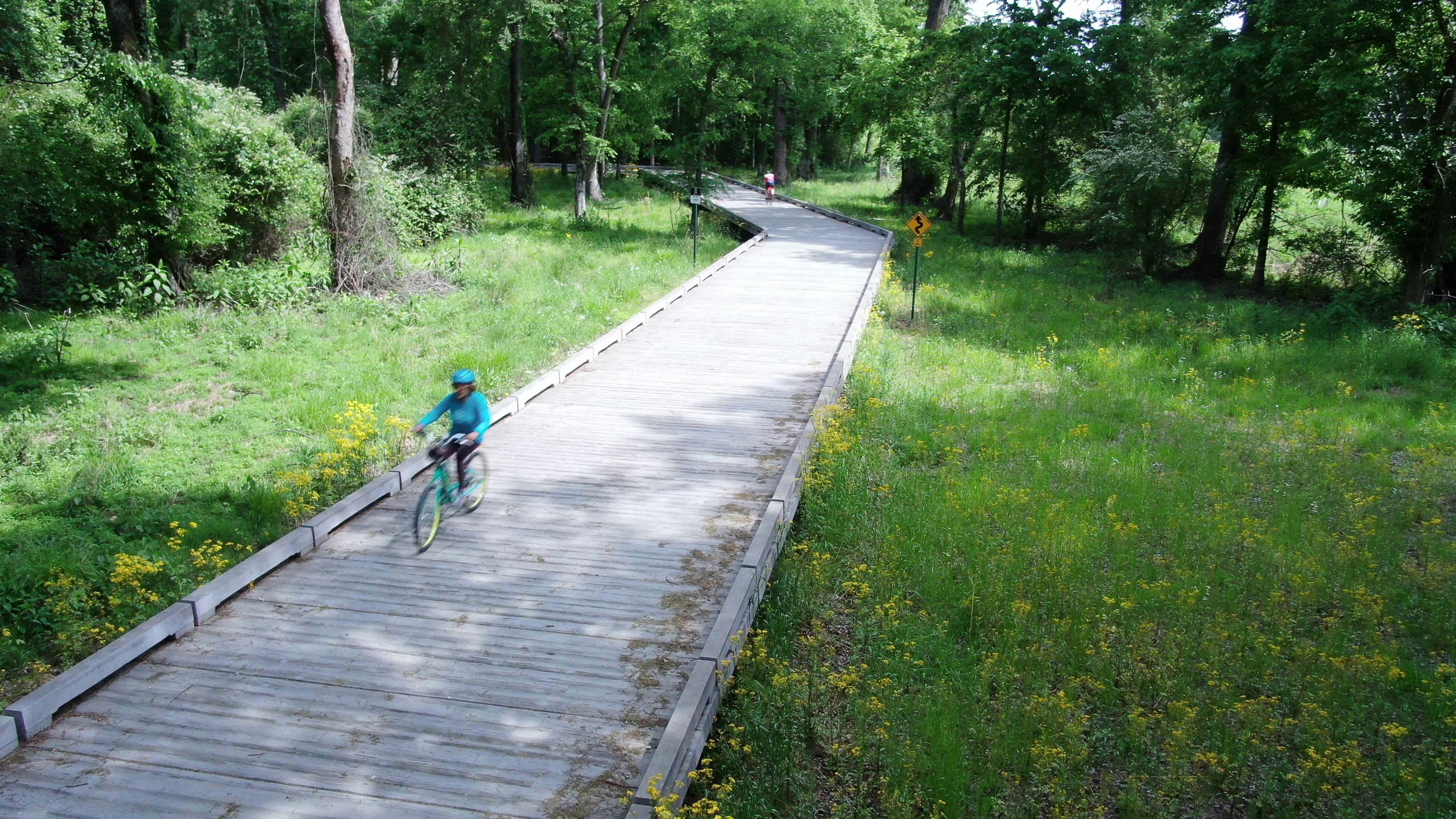 Wolf River Boardwalk