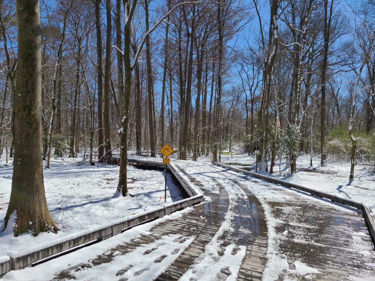 Wolf River Boardwalk